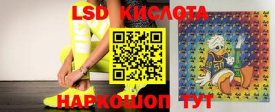 прущие грибы Новозыбков
