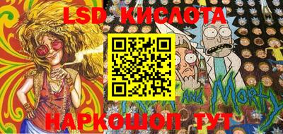 прущие грибы Новозыбков
