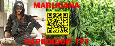 прущие грибы Новозыбков