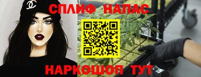 прущие грибы Новозыбков