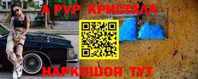 прущие грибы Новозыбков