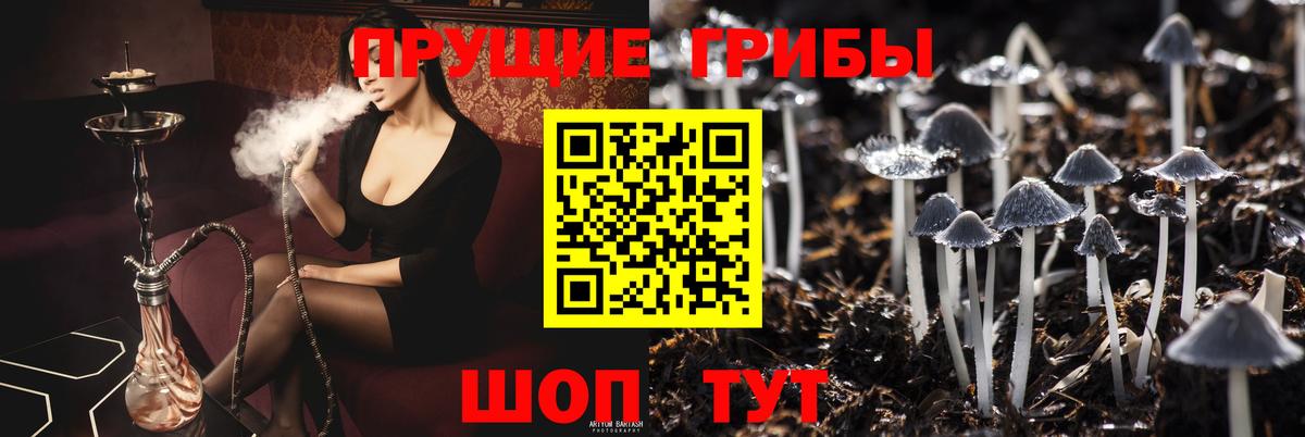 Галлюциногенные грибы Cubensis Нягань